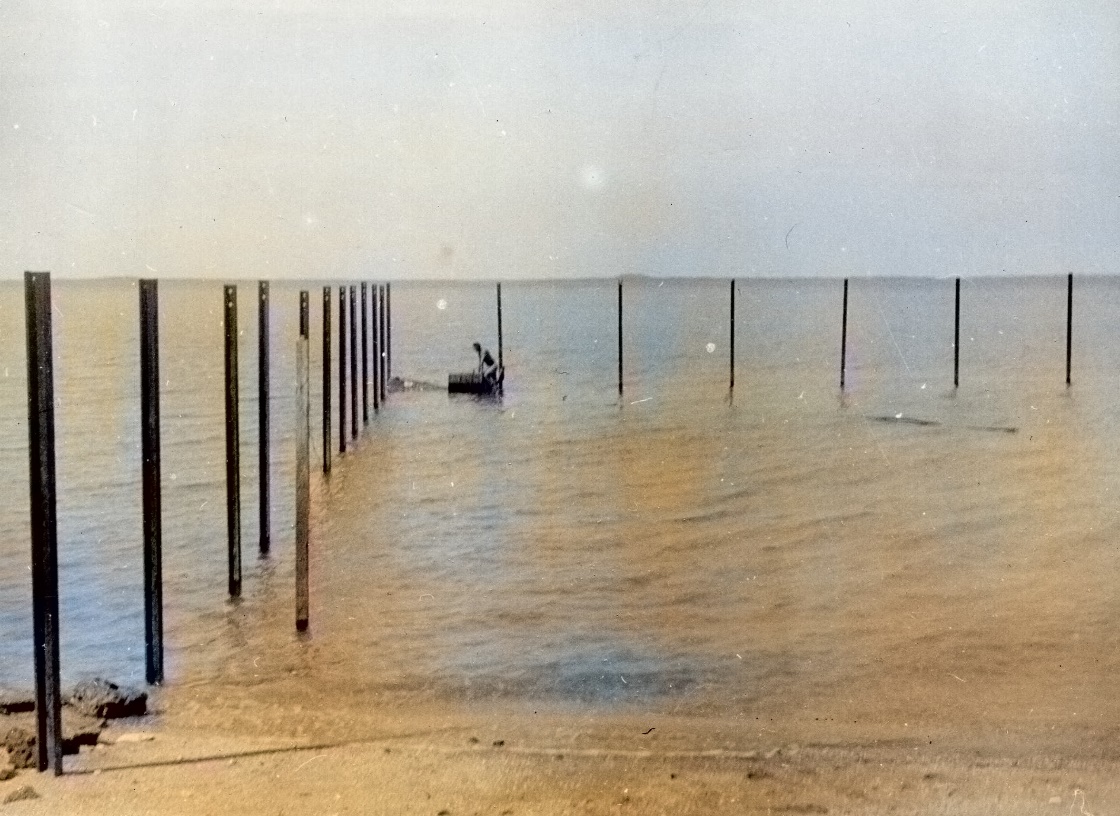 A picture containing water, shore, sandy, lined

Description automatically generated